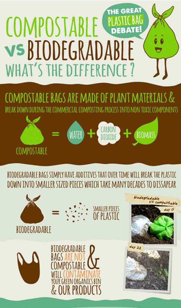 comparing compostable and biodegradable bags