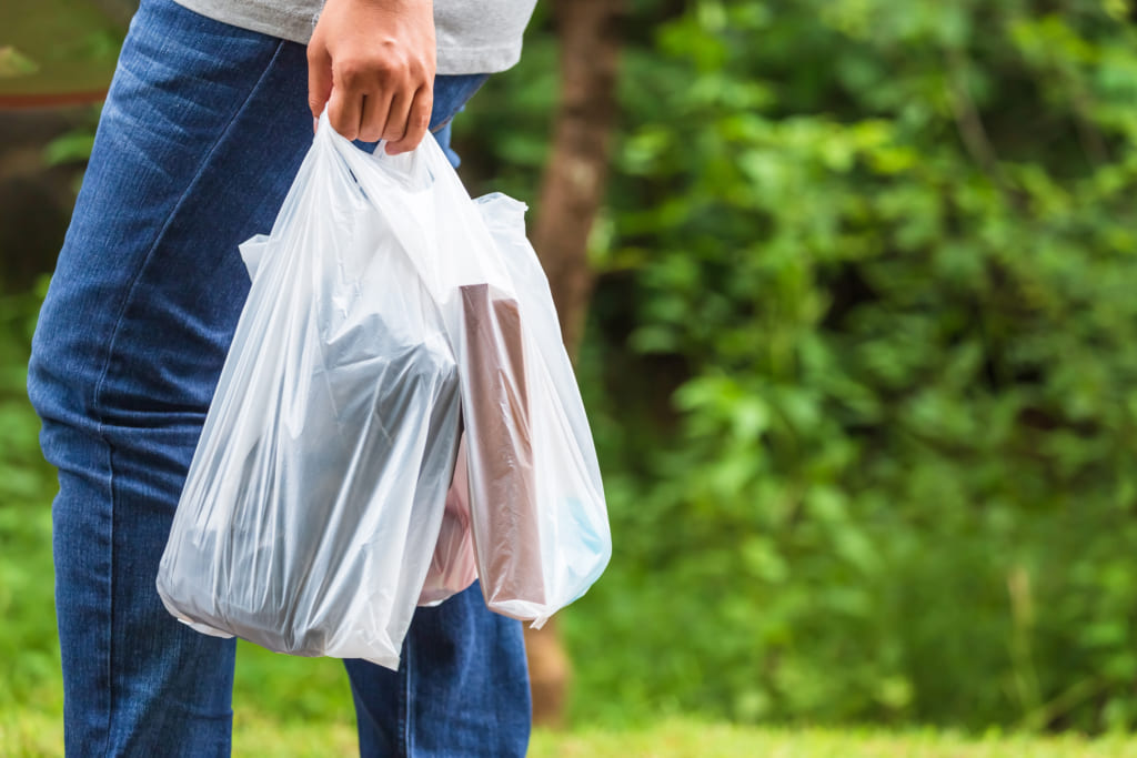 https://hanpak.com.vn/wp-content/uploads/2021/11/woman-carrying-disposable-plastic-bags-1024x683.jpg