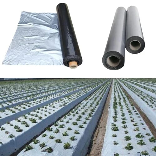 mulching film